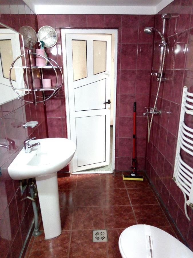 Pensiunea Serbeca Brosteni Ngoại thất bức ảnh